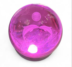 Veilleuse usb verre dauphin multicolore